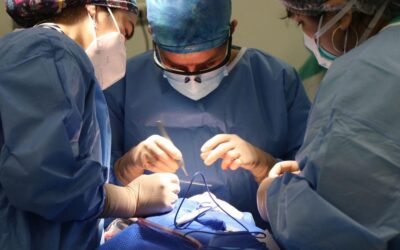 Quelles sont les interventions de chirurgie esthétique les plus répandues ?